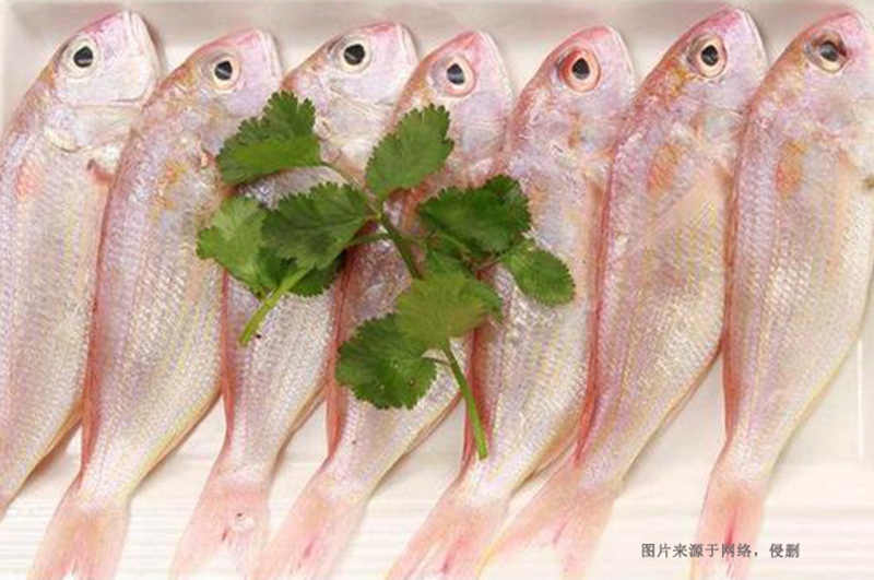 越南冷凍魚進口清關(guān)流程 越南冷凍魚進口清關(guān)流程