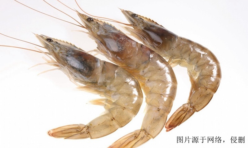 欽州進口越南對蝦報關(guān)資料 欽州進口越南對蝦報關(guān)資料