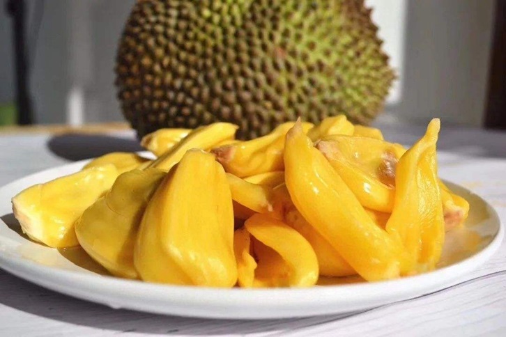 越南菠蘿蜜進口報關資料 越南菠蘿蜜進口報關資料