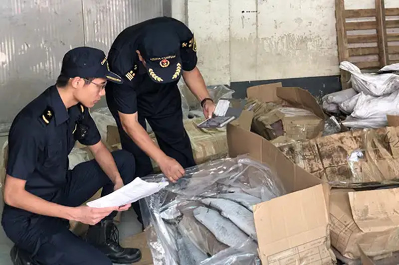 1667997797951232.jpg 水產(chǎn)品進(jìn)口廣州機(jī)場報關(guān).jpg