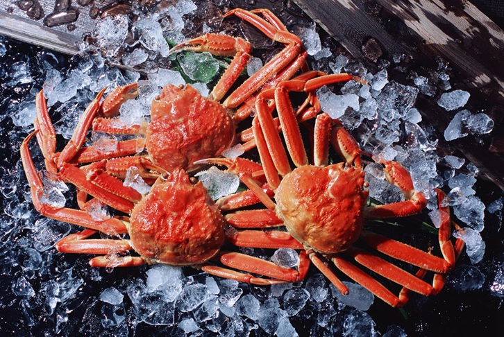 廣州機場進口斯里蘭卡螃蟹報關費用 廣州機場進口斯里蘭卡螃蟹報關費用