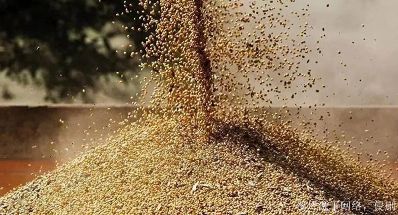 俄羅斯菜籽粕進口報關資料 俄羅斯菜籽粕進口報關資料