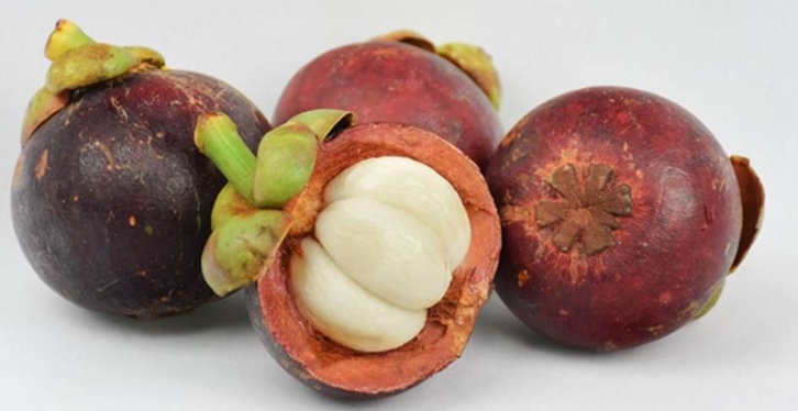 【馬來西亞山竹進口清關(guān)代理公司】指導(dǎo)您如何進口 馬來西亞山竹進口清關(guān)代理公司