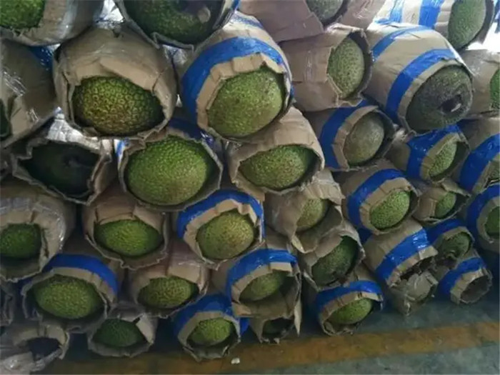 進(jìn)口越南菠蘿蜜空運報關(guān).jpg